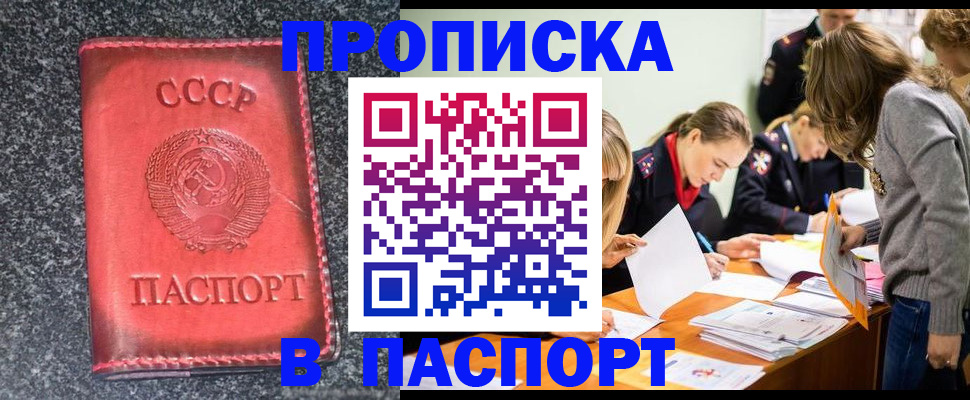 прописка для школы в Ковдоре